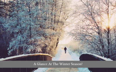 A Glance At The Winter Season!