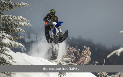Adrenaline And Safety