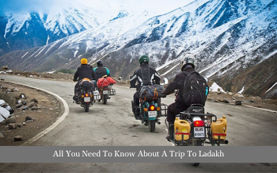 All You Need To Know About A Trip To Ladakh