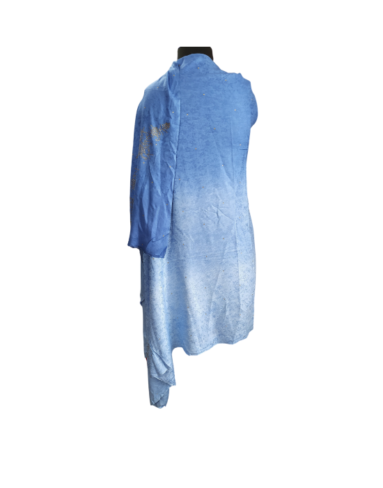 Women self desigan sky blue color