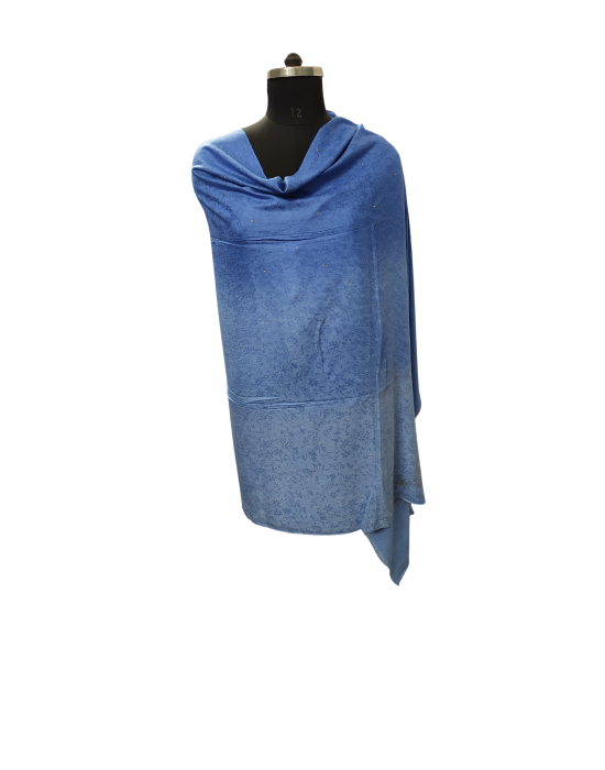 Women self desigan sky blue color